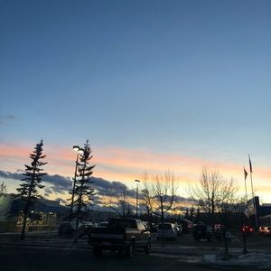 Meet your Posher, Irdina